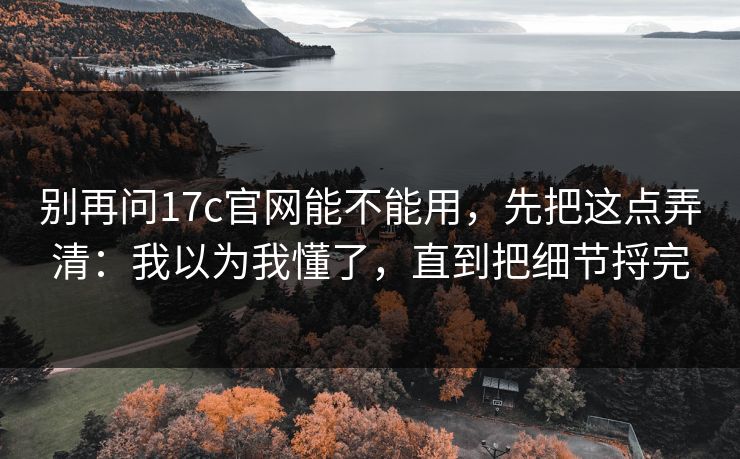 别再问17c官网能不能用，先把这点弄清：我以为我懂了，直到把细节捋完