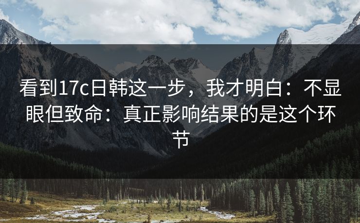 看到17c日韩这一步，我才明白：不显眼但致命：真正影响结果的是这个环节
